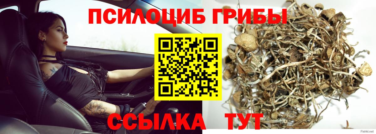 Крымск  Псилоцибиновые грибы мухоморы  Галлюциногенные грибы Psilocybine cubensis  Вход с VPN 