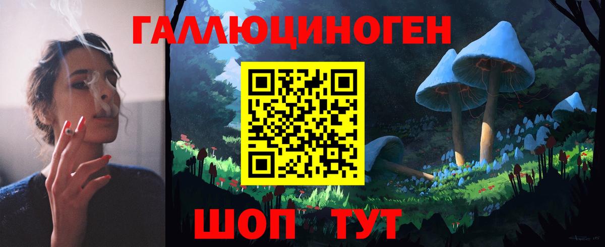 Псилоцибиновые грибы Cubensis Крымск